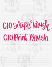 Load image into Gallery viewer, Blank Hand Lettering Sheet &amp; CIO Print and Script Brushes